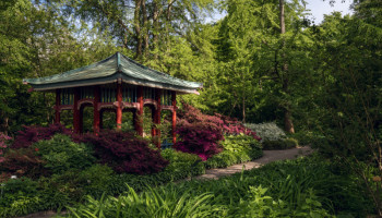 Botanischer Garten Berlin - Ein grünes Paradies